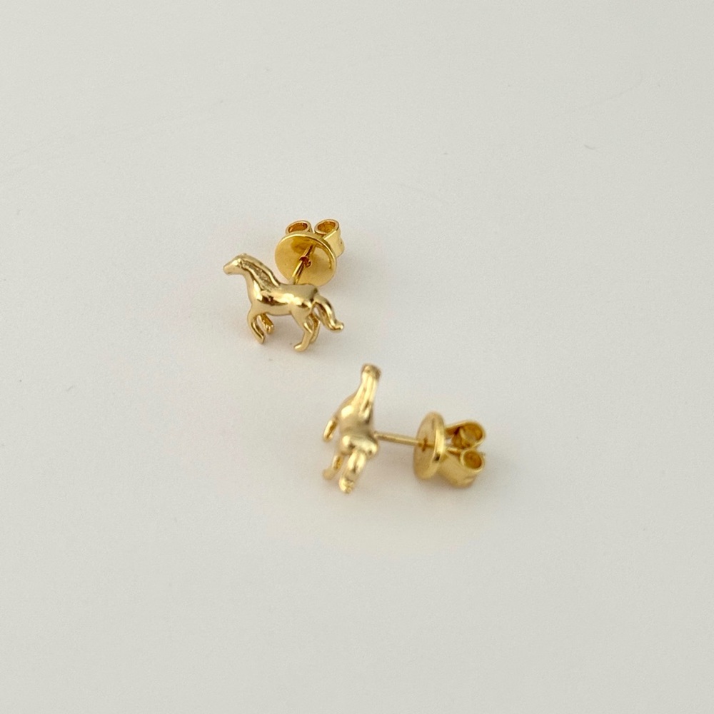 Wild Stud Earrings - Picture 3 of 3